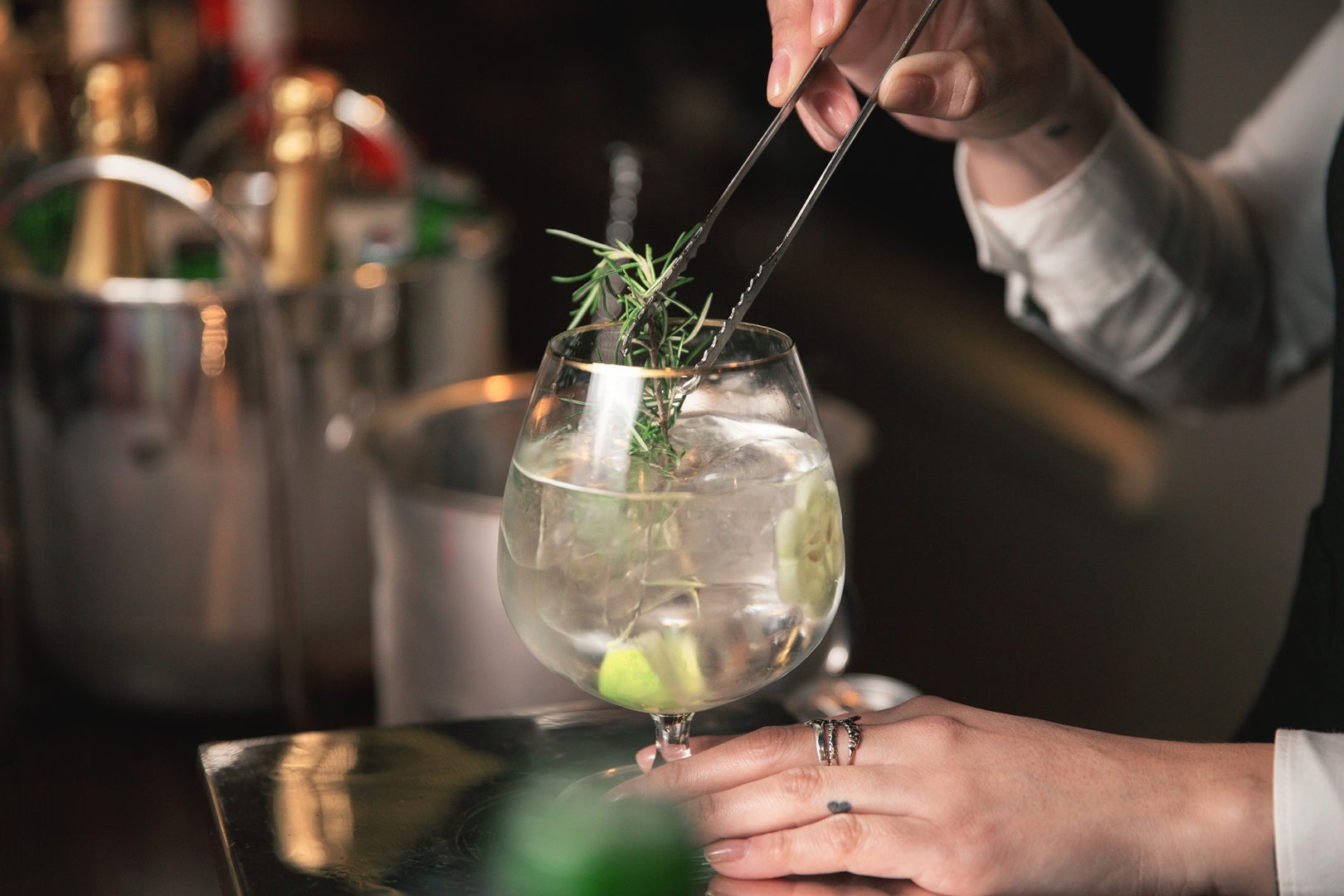 gin tônica