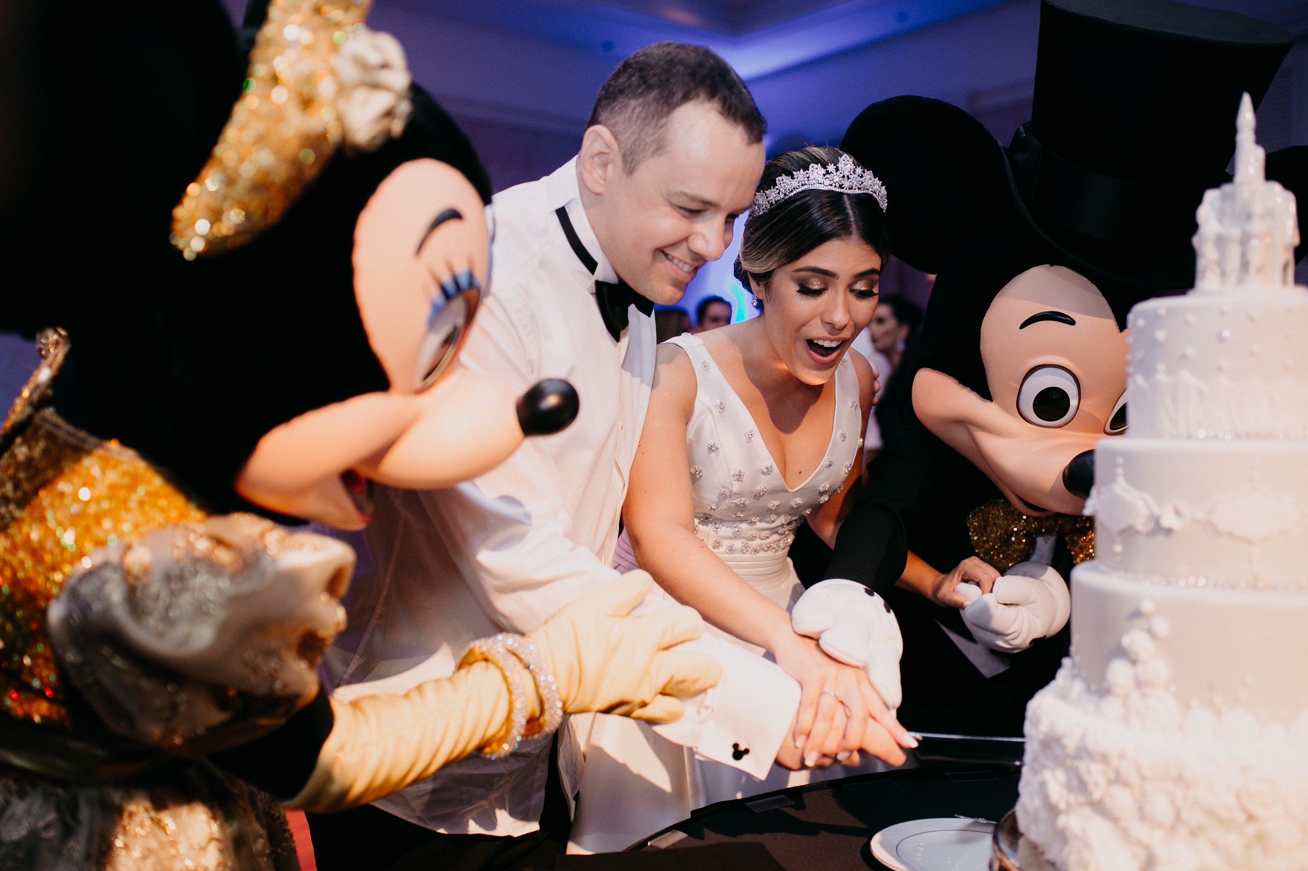 casamento na Disney