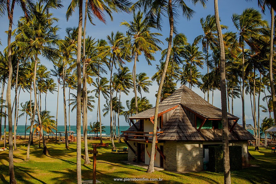 casamento na praia